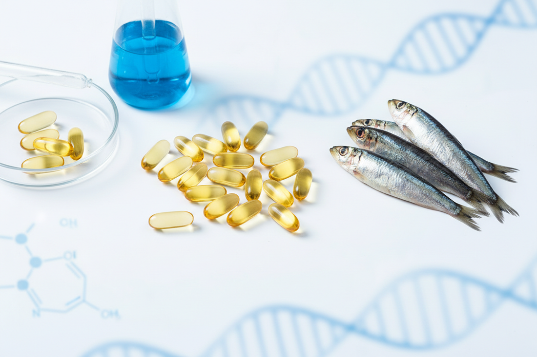 Omega-3 Quality: What Actually Matters When Choosing Fish Oil